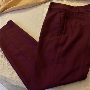 Brand New Express Columnist pants